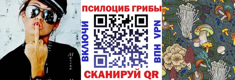 Купить где  Ужур  Галлюциногенные грибы Cubensis 